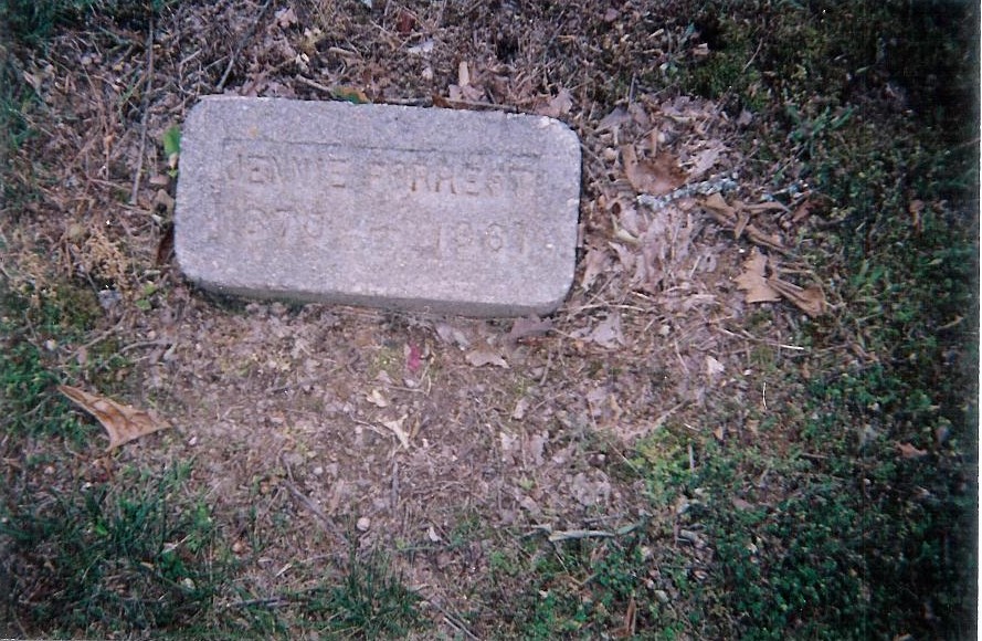 Jennie (Jane) Cobb-Forrest (1870-1961)