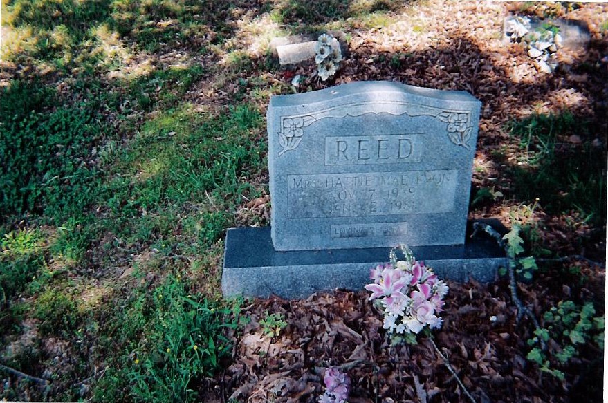 Hattie Mae Evon Cobb-Reed (1939-1981)